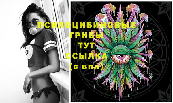 экстази Новозыбков