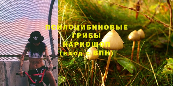 каннабис Новодвинск